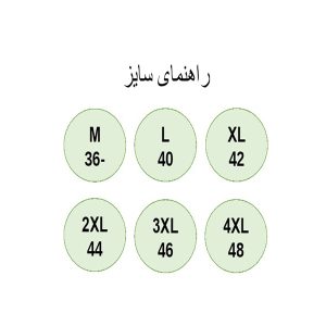 ست تی شرت کلاهدار و شلوارک ورزشی زنانه مدل 177-3101