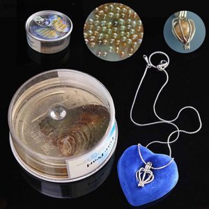 ست هدیه زنانه مروارید عشق لوکس همراه دستبند خورشیدی و باکس گل معطر کد 026
