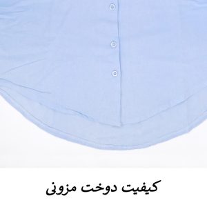 شومیز آستین بلند یقه برگردان زنانه مدل Nerava کد 4155
