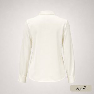 شومیز زنانه السانا مدل شاوان کد 2049
