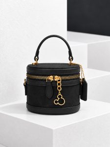 مینی کیف صندوقی COACH کد 21899