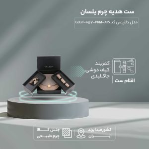 ست هدیه زنانه چرم یلسان مدل دلاریس کد PRM-ATS-057-GLGP